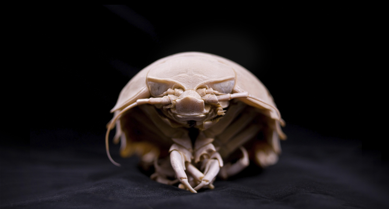 cover_image_sample_01.jpg